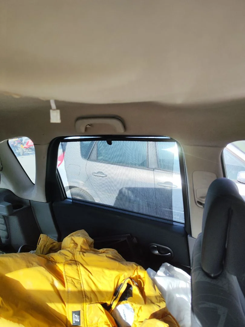 Foto de ASIDERO TECHO TRASERO IZQUIERDO RENAULT SCENIC II (JM) 1.5 dCi Diesel (106 CV / 78 KW)