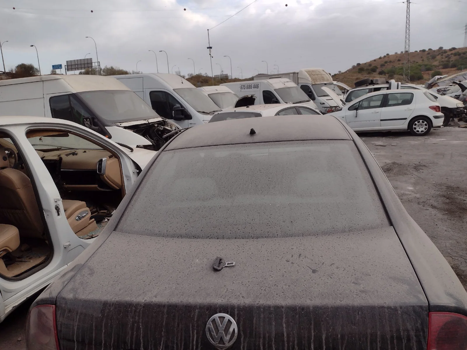 Foto de CERRADURA MALETERO / PORTON VOLKSWAGEN PASSAT BERLINA (3B3) 1.9 TDI (131 CV / 96 KW)