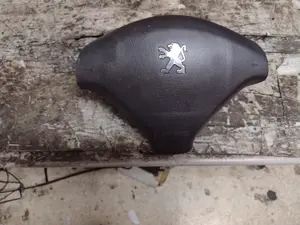 Foto de AIRBAG DELANTERO IZQUIERDO PEUGEOT 307 (S1)(04.2001) referencia 96345028ZR foto 1