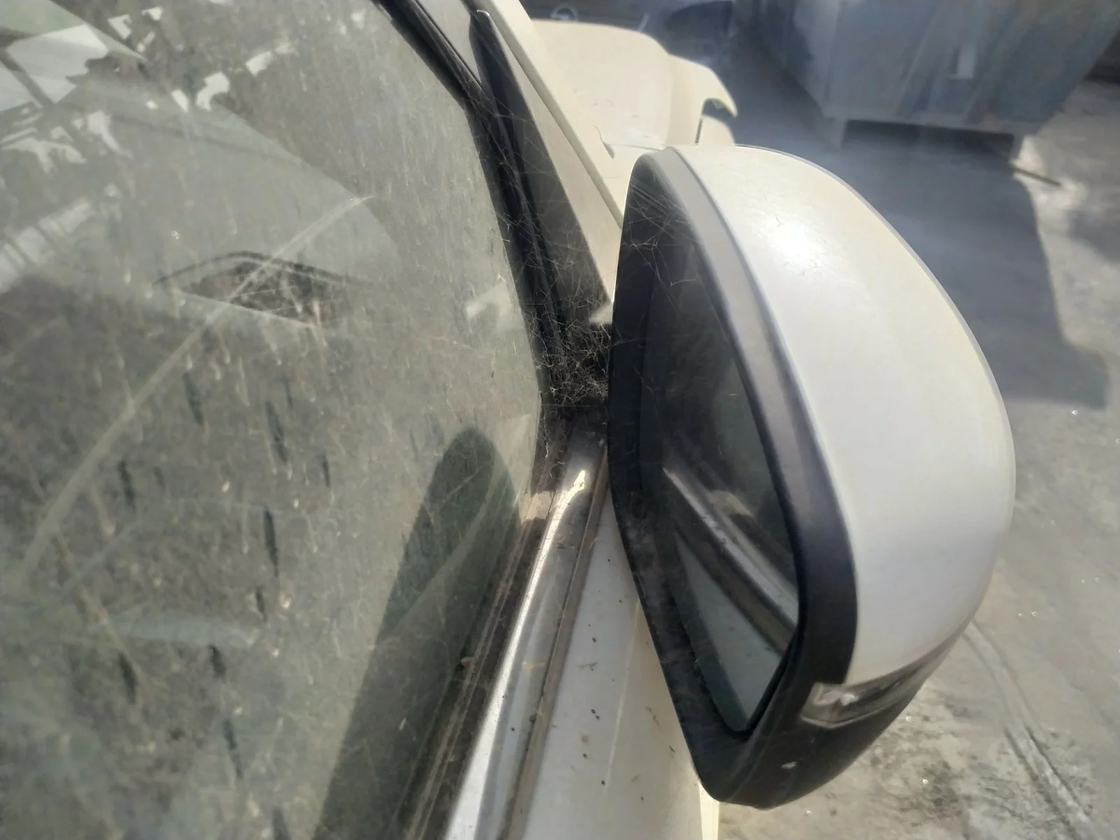 Foto de RETROVISOR DERECHO SSANGYONG KORANDO 1.6 Turbodiesel CAT (136 CV / 100 KW) referencia 7895034020