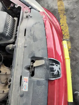 Foto de REFUERZO PARAGOLPES DELANTERO PEUGEOT 307 (S1)(04.2001) 1.6 16V CAT (109 CV / 80 KW)
