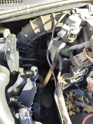 Foto de SERVOFRENO RENAULT MEGANE II BERLINA 5P 1.5 dCi Diesel (106 CV / 78 KW)