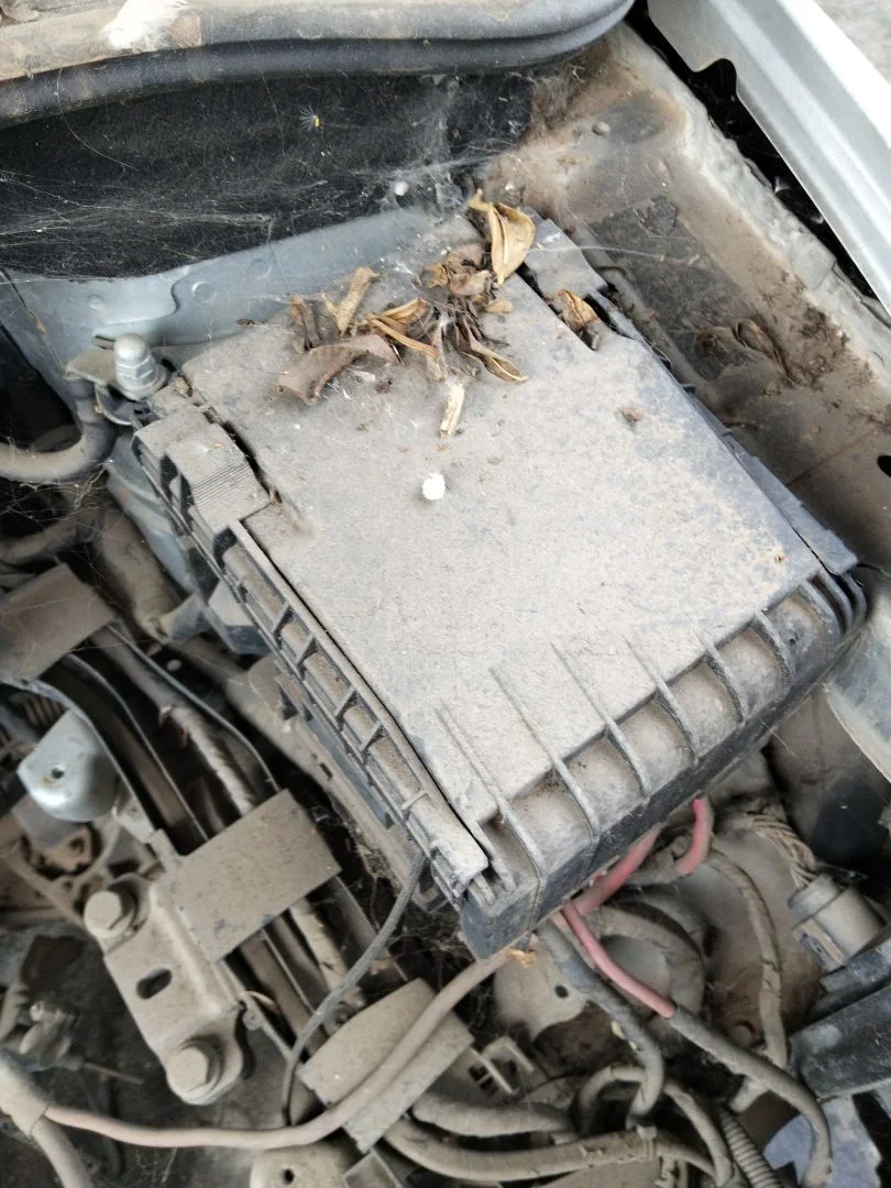 Foto de CAJA RELES / FUSIBLES SEAT ALTEA (5P1) 1.9 TDI (105 CV / 77 KW)