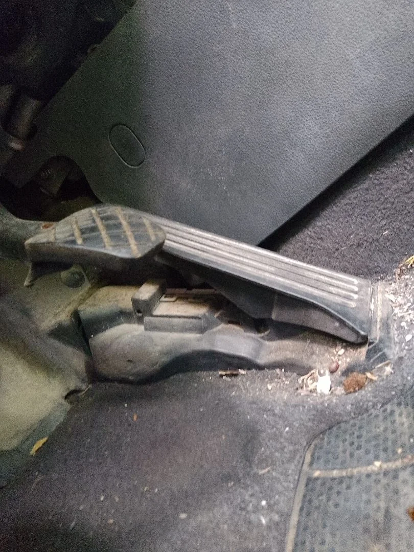 Foto de PEDAL ACELERADOR VOLKSWAGEN GOLF PLUS V (5M1) 1.9 TDI (105 CV / 77 KW)