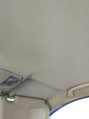 Foto de TECHO INTERIOR MAZDA 6 BERLINA (GH) 2.2 Turbodiesel CAT (163 CV / 120 KW) referencia GS1M-68-030JFKZ foto 1