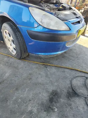 Foto de PARAGOLPES DELANTERO PEUGEOT 307 (S1)(04.2001) 1.6 16V CAT (109 CV / 80 KW) foto 4