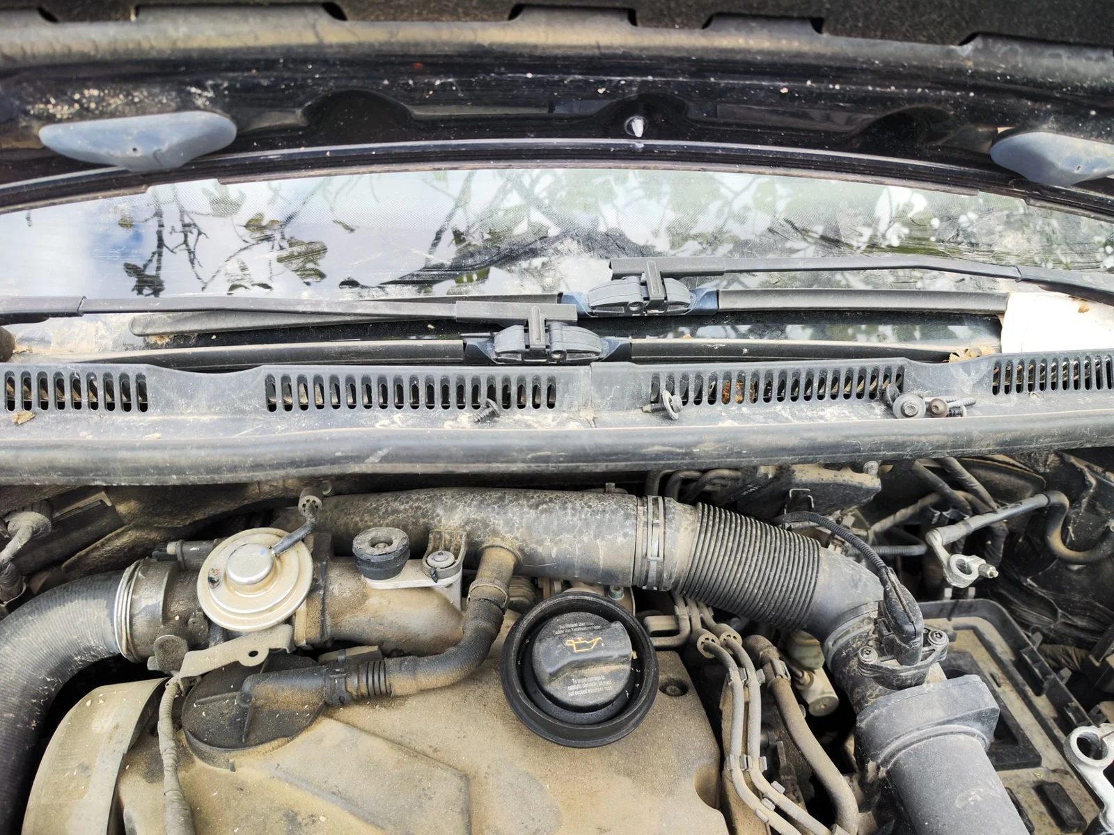 Foto de MOTOR LIMPIA DELANTERO VOLKSWAGEN GOLF PLUS V (5M1) 1.9 TDI (105 CV / 77 KW)