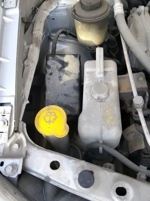 Foto de DEPOSITO LIMPIA NISSAN ALMERA TINO (V10M) 1.8 16V CAT (114 CV / 84 KW) referencia 28910BU100
