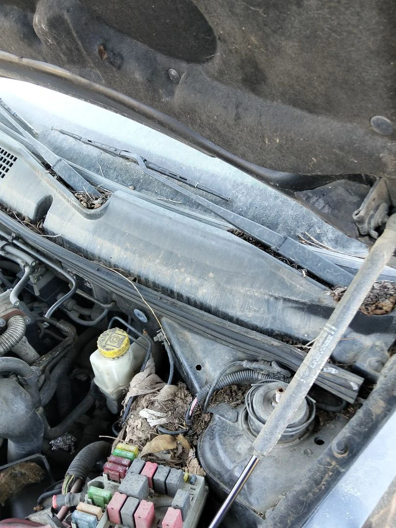 Foto de MOTOR LIMPIA TRASERO FIAT STILO (192) 1.9 JTD CAT (116 CV / 85 KW)