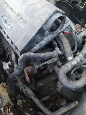 Foto de DESPIECE MOTOR FORD TRANSIT COMBI (TT9) 2.2 TDCi CAT (116 CV / 85 KW) referencia SRFA