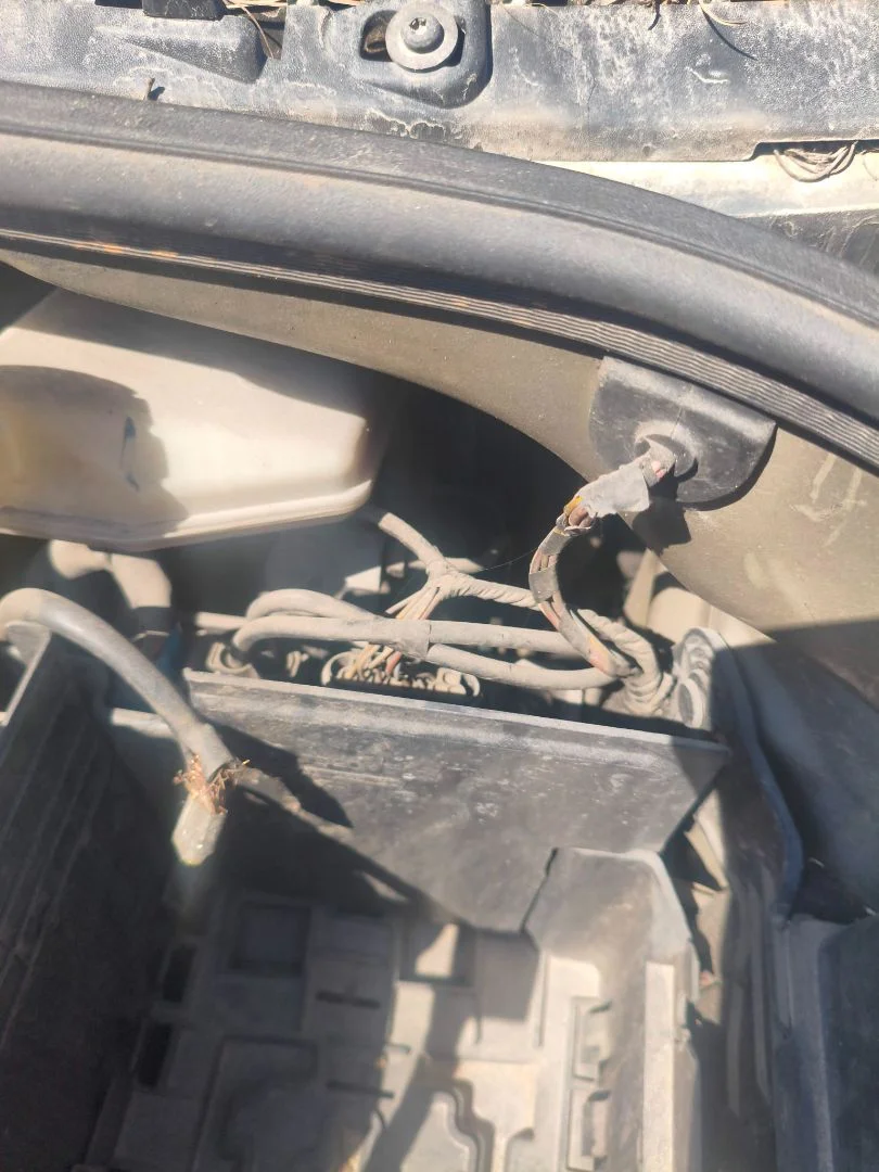 Foto de SERVOFRENO CITROEN C3 1.4 (73 CV / 54 KW) referencia 4535W8