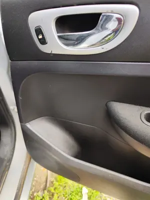 Foto de MANETA INTERIOR TRASERA DERECHA PEUGEOT 307 BREAK/ SW (S2) 2.0 16V HDi FAP CAT (RHR / DW10BTED4) (136 CV / 100 KW)