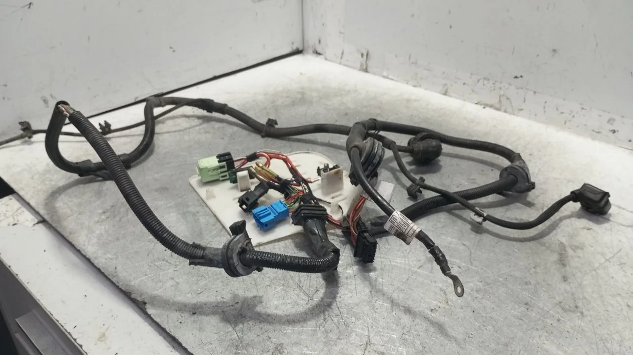 Foto de CABLEADO ELECTRICO BMW SERIE 5 TOURING (F11) 2.0 Turbodiesel (218 CV / 160 KW) referencia 850867306