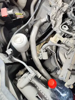 Foto de TUBO PEUGEOT 307 BREAK/ SW (S2) 2.0 16V HDi FAP CAT (RHR / DW10BTED4) (136 CV / 100 KW)