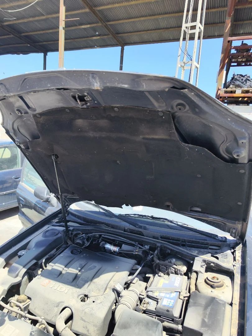 Foto de CAPO CITROEN XSARA BERLINA 2.0 HDi CAT (RHY / DW10TD) (90 CV / 66 KW)