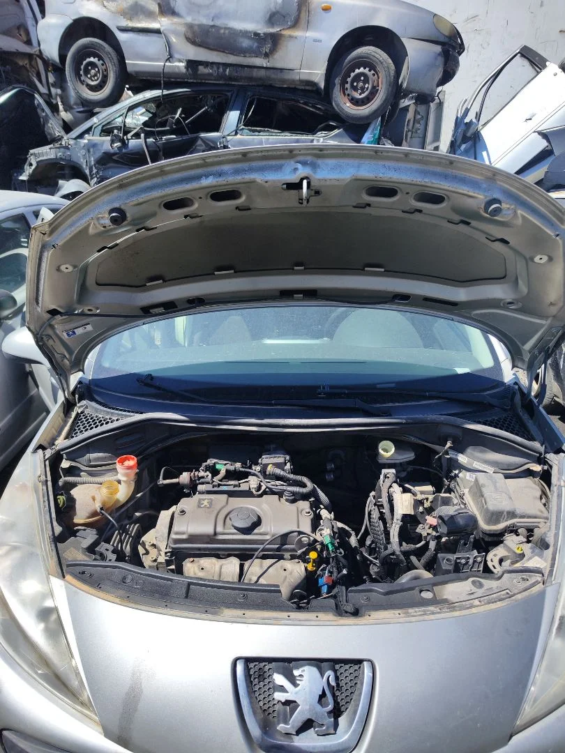 Foto de CAPO PEUGEOT 207 1.4 (73 CV / 54 KW) referencia 7901N2