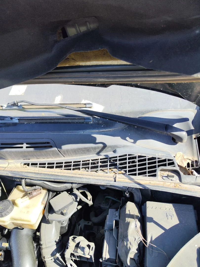 Foto de BRAZO LIMPIA DELANTERO IZQUIERDO CITROEN XSARA PICASSO 1.6 HDi CAT (9HY / DV6TED4) (109 CV / 80 KW)