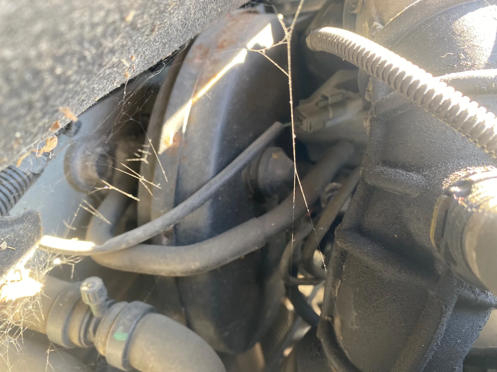 Foto de SERVOFRENO RENAULT CLIO III 1.5 dCi Diesel (68 CV / 50 KW)
