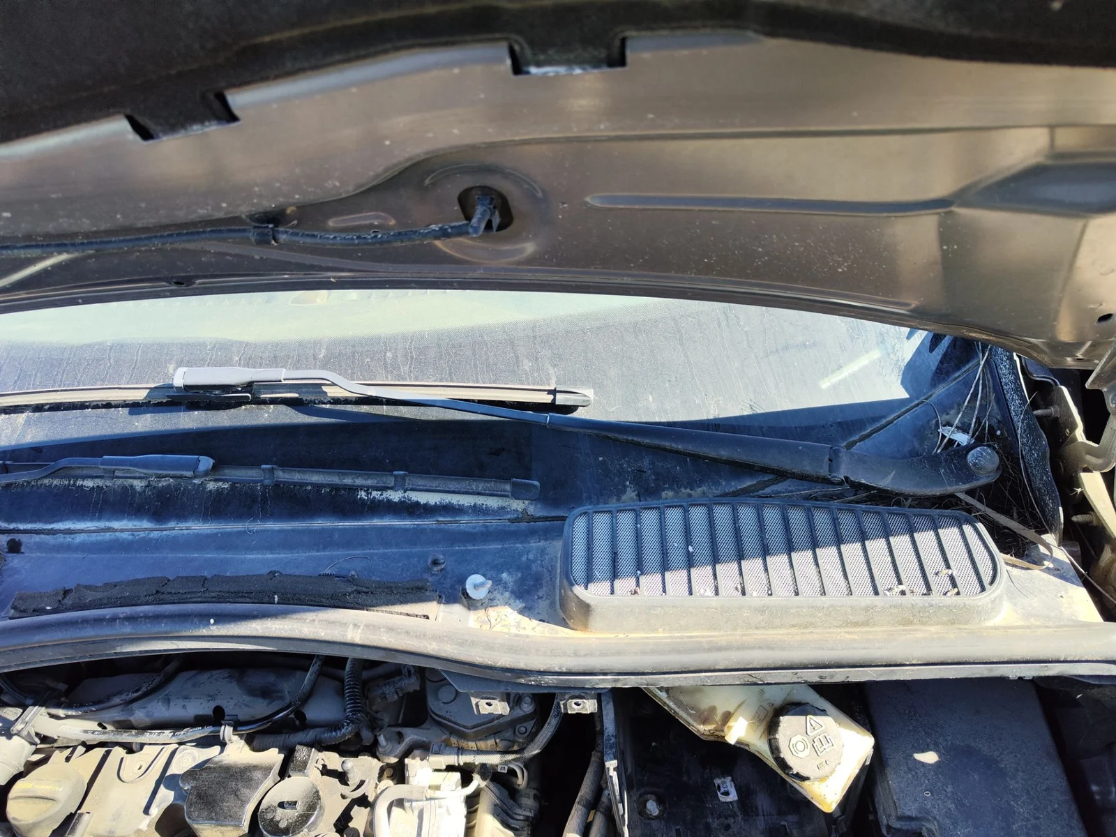Foto de BRAZO LIMPIA DELANTERO IZQUIERDO FORD C-MAX (CB7) 1.6 TDCi CAT (116 CV / 85 KW)