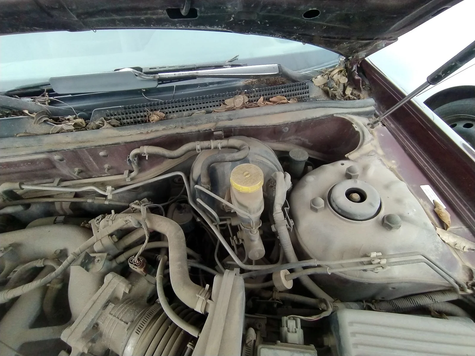 Foto de BOMBA FRENO NISSAN MAXIMA QX (A32) 2.0 V6 24V CAT (140 CV / 103 KW)
