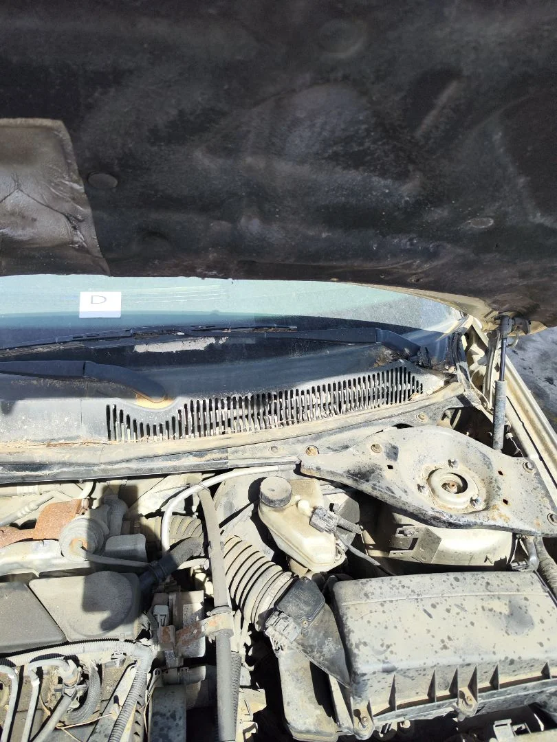 Foto de MOTOR LIMPIA DELANTERO FORD MONDEO BERLINA (GE) 2.0 TDCi CAT (131 CV / 96 KW) referencia 1229139