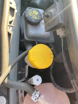 Foto de DEPOSITO LIMPIA SMART FORFOUR