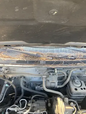 Foto de CENTRALITA MOTOR UCE NISSAN ALMERA (N15) 2.0 Diesel (75 CV / 55 KW)