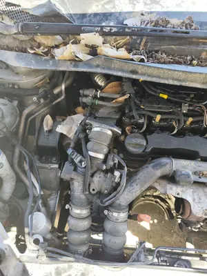 Foto de MOTOR COMPLETO CITROEN C4 BERLINA 1.6 16V HDi (90 CV / 66 KW) referencia 9HX