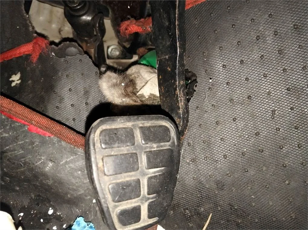 Foto de PEDAL FRENO SEAT ALHAMBRA (7V9)