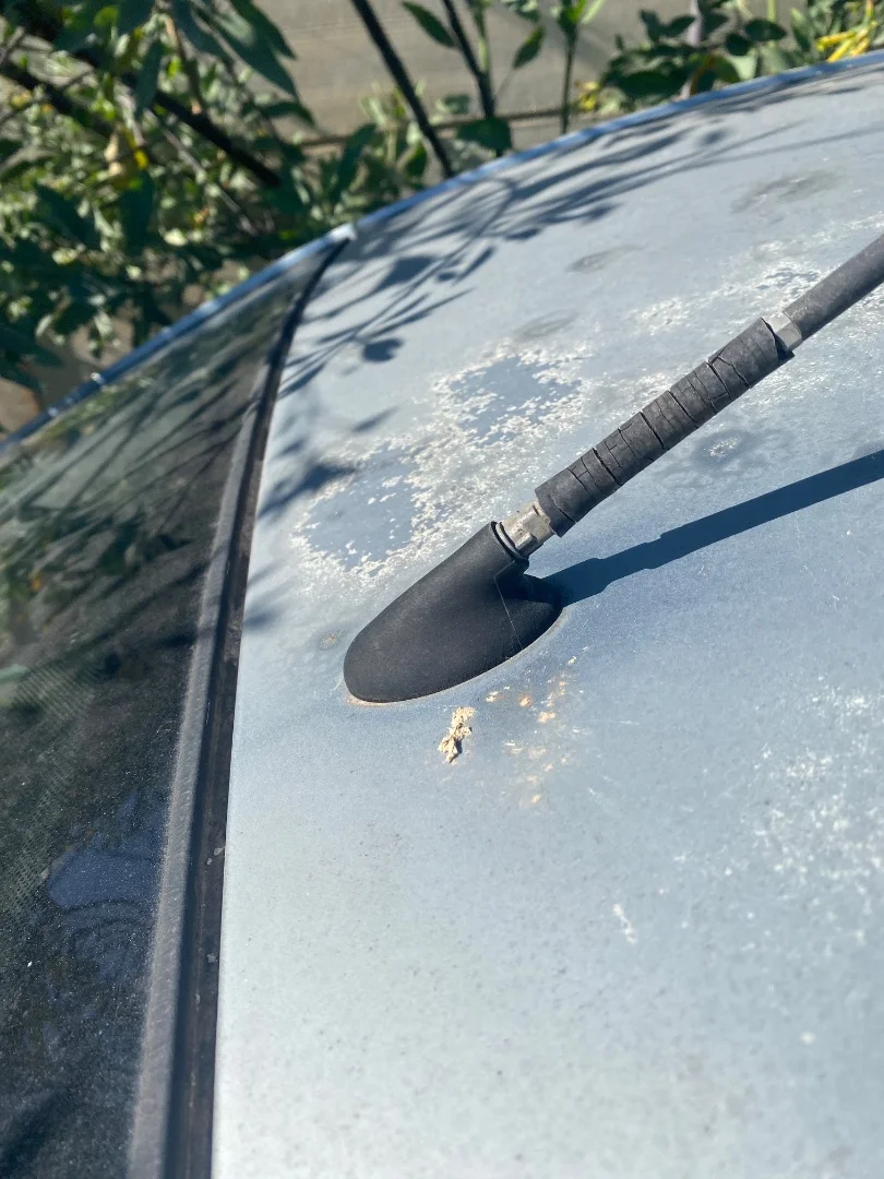 Foto de BASE DE ANTENA FORD FOCUS C-MAX (CAP)(2003) 1.6 TDCi CAT (109 CV / 80 KW)