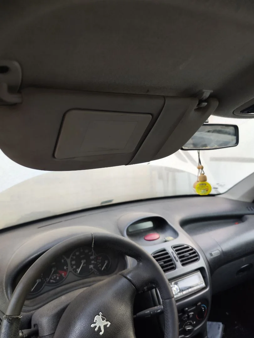Foto de PARASOL IZQUIERDO PEUGEOT 206 1.6 16V CAT (109 CV / 80 KW)