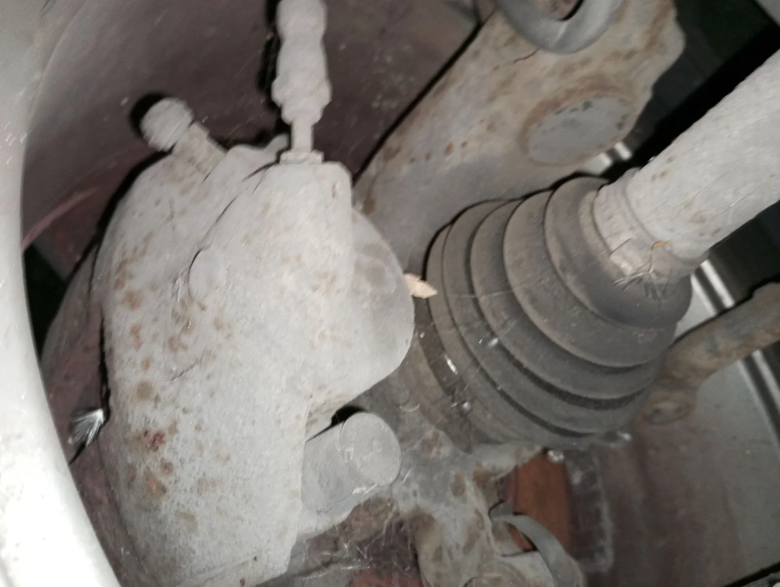 Foto de PINZA DE FRENO DELANTERA DERECHA FORD FIESTA (CBK) 1.25 16V CAT (69 CV / 51 KW)