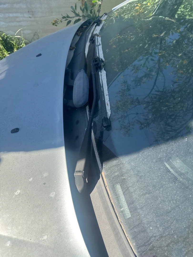 Foto de TORPEDO FORD FOCUS C-MAX (CAP)(2003) 1.6 TDCi CAT (109 CV / 80 KW)