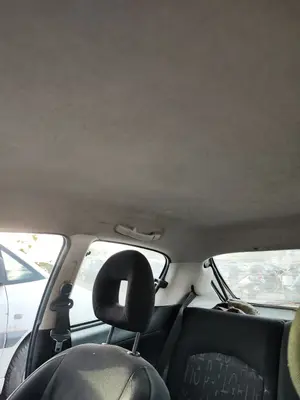 Foto de TECHO INTERIOR PEUGEOT 206 1.6 16V CAT (109 CV / 80 KW) referencia 8329JQ