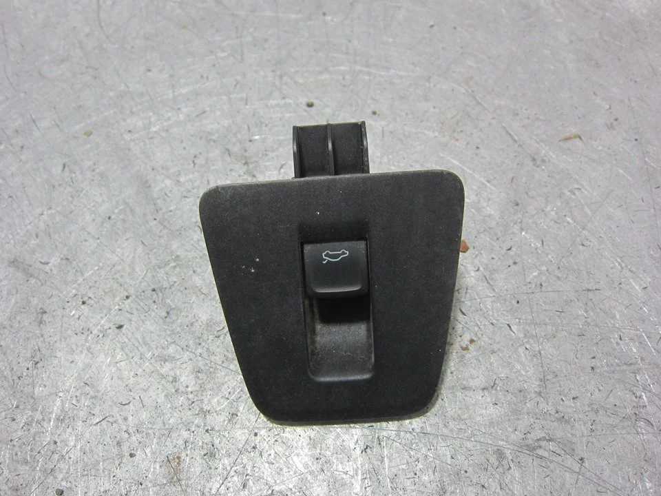 Foto de INTERRUPTOR VOLKSWAGEN TIGUAN (AD1) 2.0 TDI DPF (239 CV / 176 KW) referencia 3G0959831