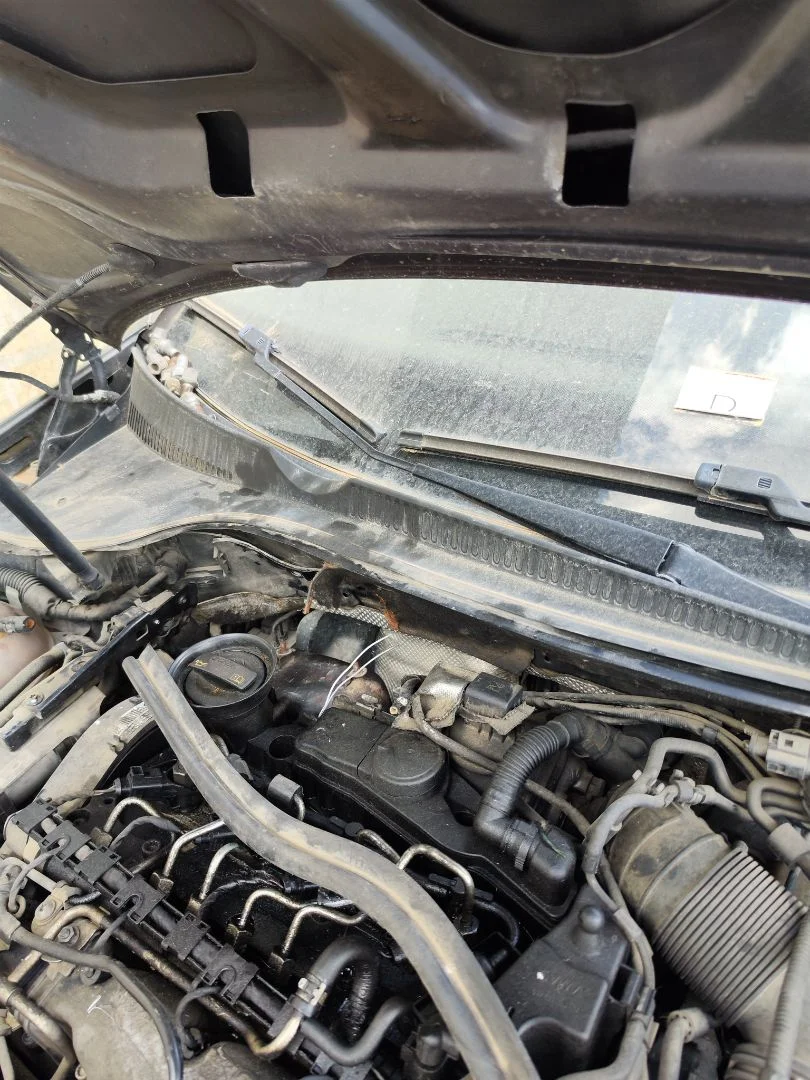 Foto de BRAZO LIMPIA DELANTERO DERECHO VOLKSWAGEN GOLF VI (5K1)(10.2008) 2.0 TDI (110 CV / 81 KW) referencia 1Q1955410  03C