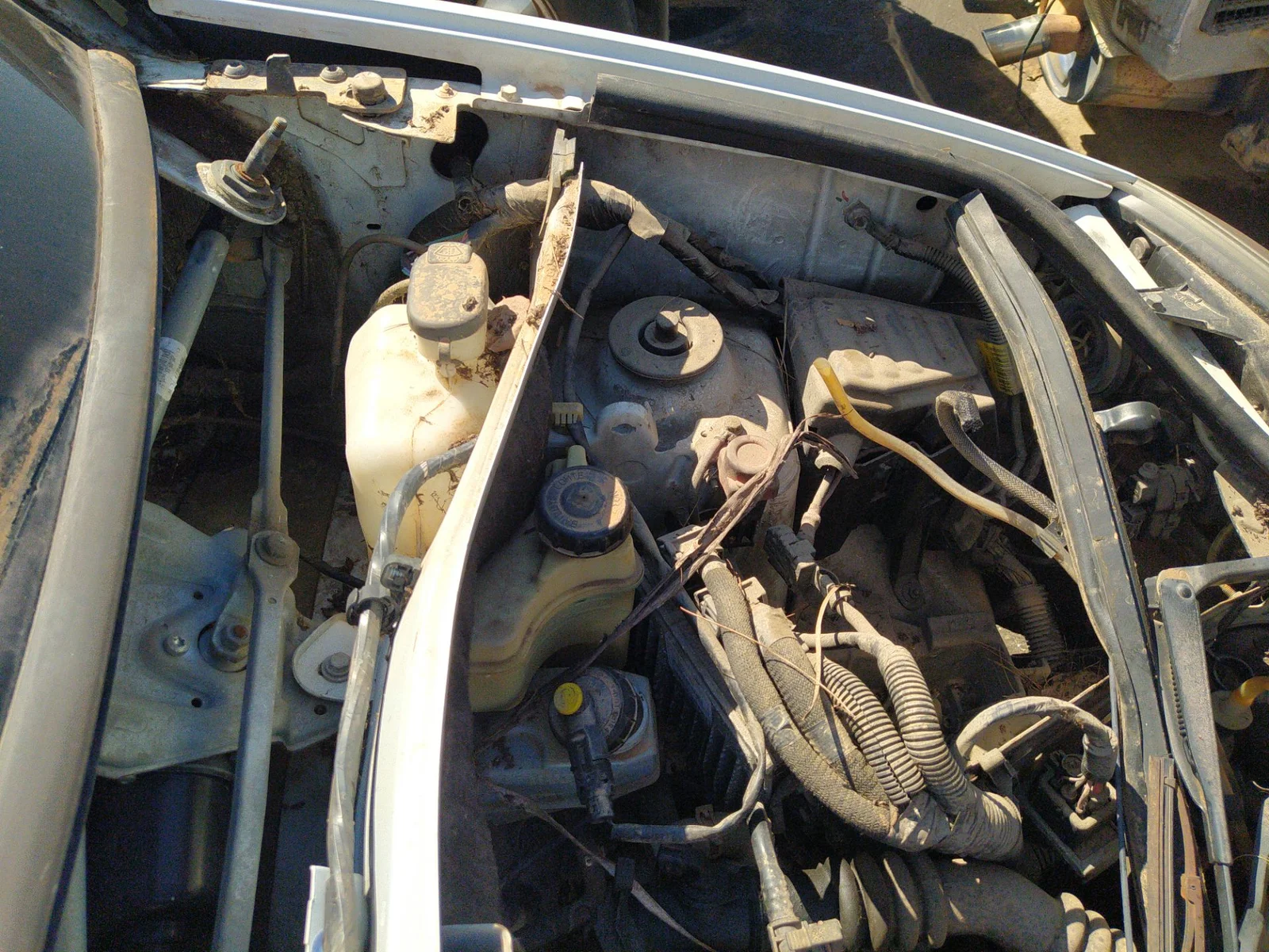 Foto de SERVOFRENO RENAULT KANGOO I (F/KC0) 1.5 dCi Diesel (68 CV / 50 KW) referencia 7701207199