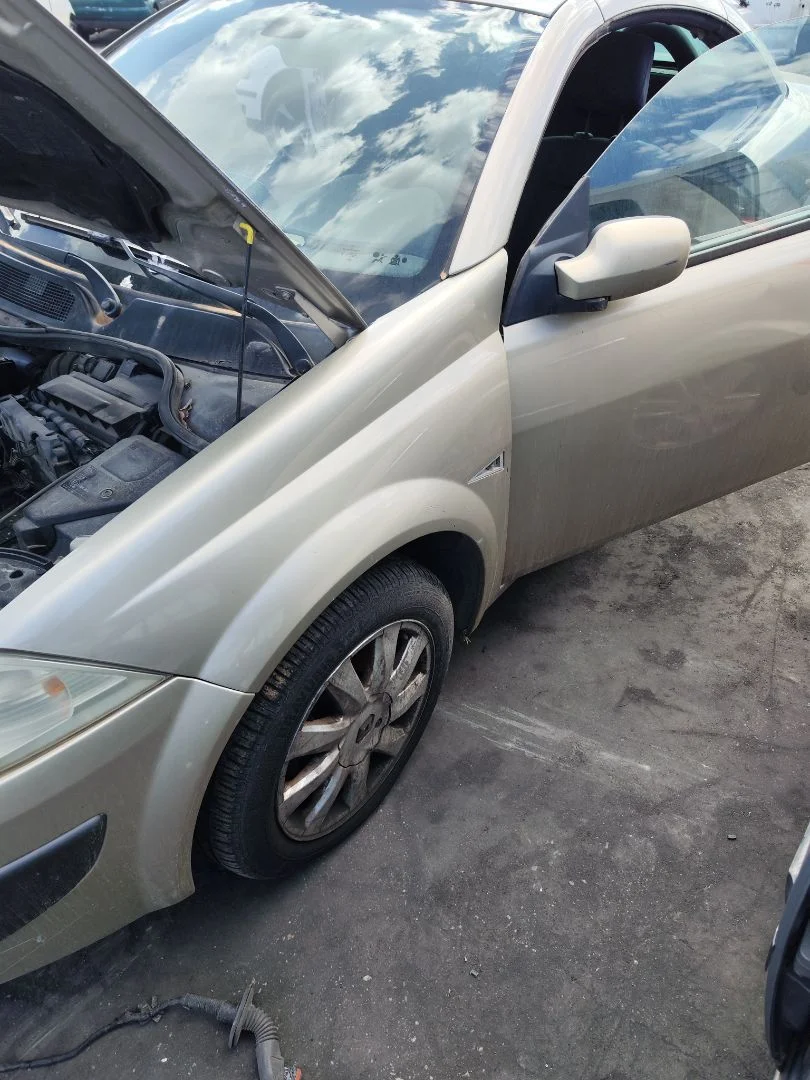 Foto de ALETA DELANTERA IZQUIERDA RENAULT MEGANE II COUPE/CABRIO 1.5 dCi Diesel (106 CV / 78 KW) referencia 7701474922