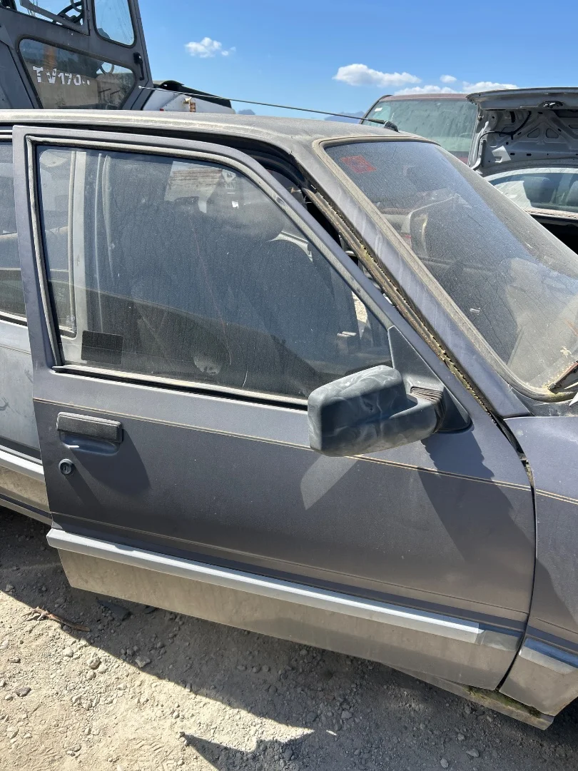 Foto de PUERTA DELANTERA DERECHA PEUGEOT 309 1.6 (88 CV / 65 KW)