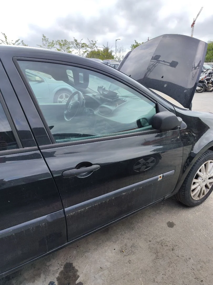 Foto de PUERTA DELANTERA DERECHA RENAULT CLIO III 1.2 16V (75 CV / 55 KW)