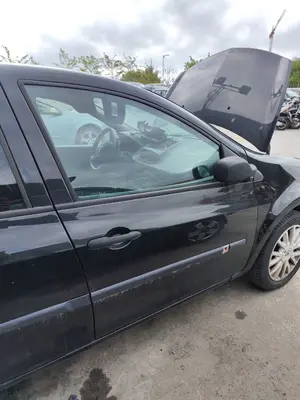 Foto de PUERTA DELANTERA DERECHA RENAULT CLIO III 1.2 16V (75 CV / 55 KW)