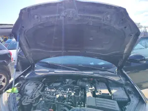 Foto de CAPO SKODA YETI (5L)(2009) 2.0 TDI (110 CV / 81 KW)