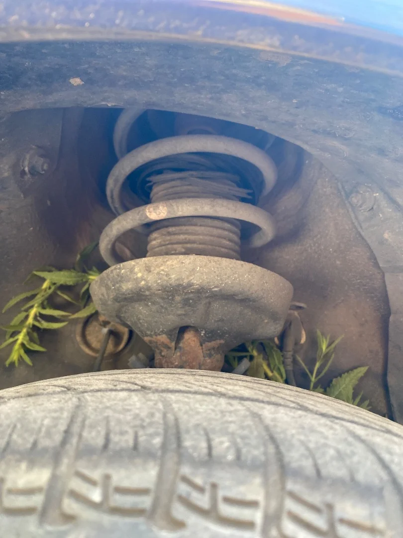 Foto de AMORTIGUADOR DELANTERO DERECHO VOLKSWAGEN POLO III (6N1) 1.4 (60 CV / 44 KW) referencia 6N0413031K