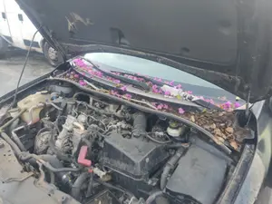 Foto de TORPEDO TOYOTA COROLLA (E15) 1.4 Turbodiesel CAT (90 CV / 66 KW)