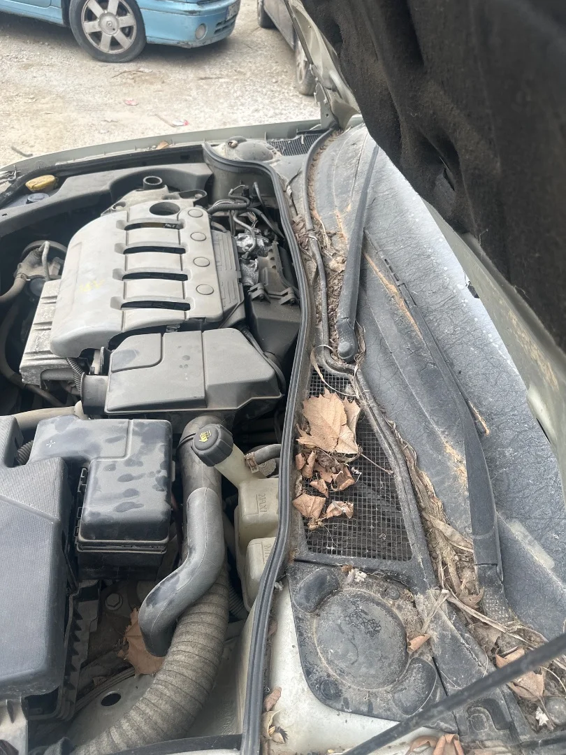 Foto de TORPEDO RENAULT LAGUNA II (BG0) 2.0 (135 CV / 99 KW)
