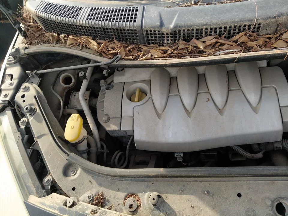 Foto de CLAXON RENAULT SCENIC II 1.6 16V (113 CV / 83 KW) referencia 8200491390