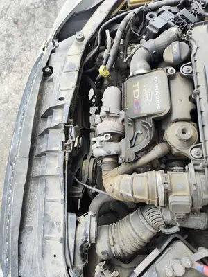 Foto de RADIADOR AGUA FORD FIESTA (CBK) 1.4 TDCi CAT (68 CV / 50 KW) referencia 1430653