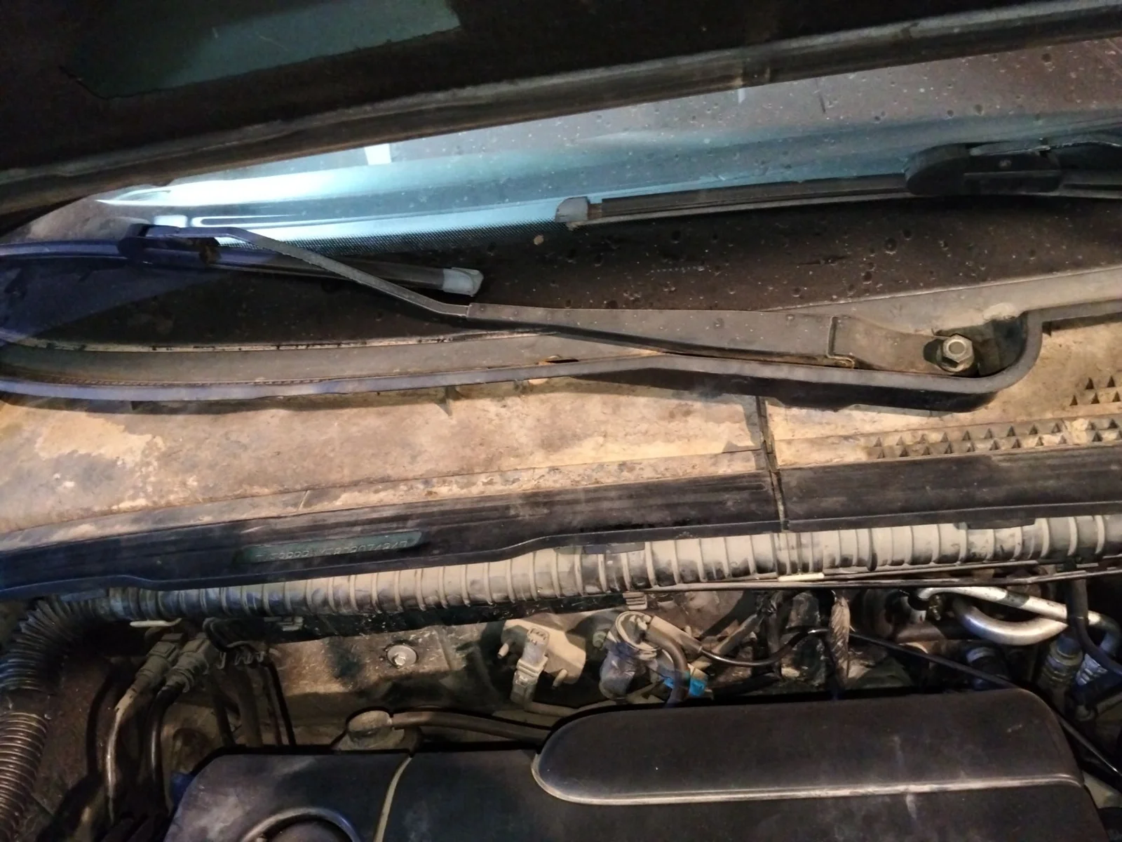 Foto de BRAZO LIMPIA DELANTERO DERECHO PEUGEOT 406 BERLINA (S1/S2) 2.0 HDi CAT (90 CV / 66 KW)