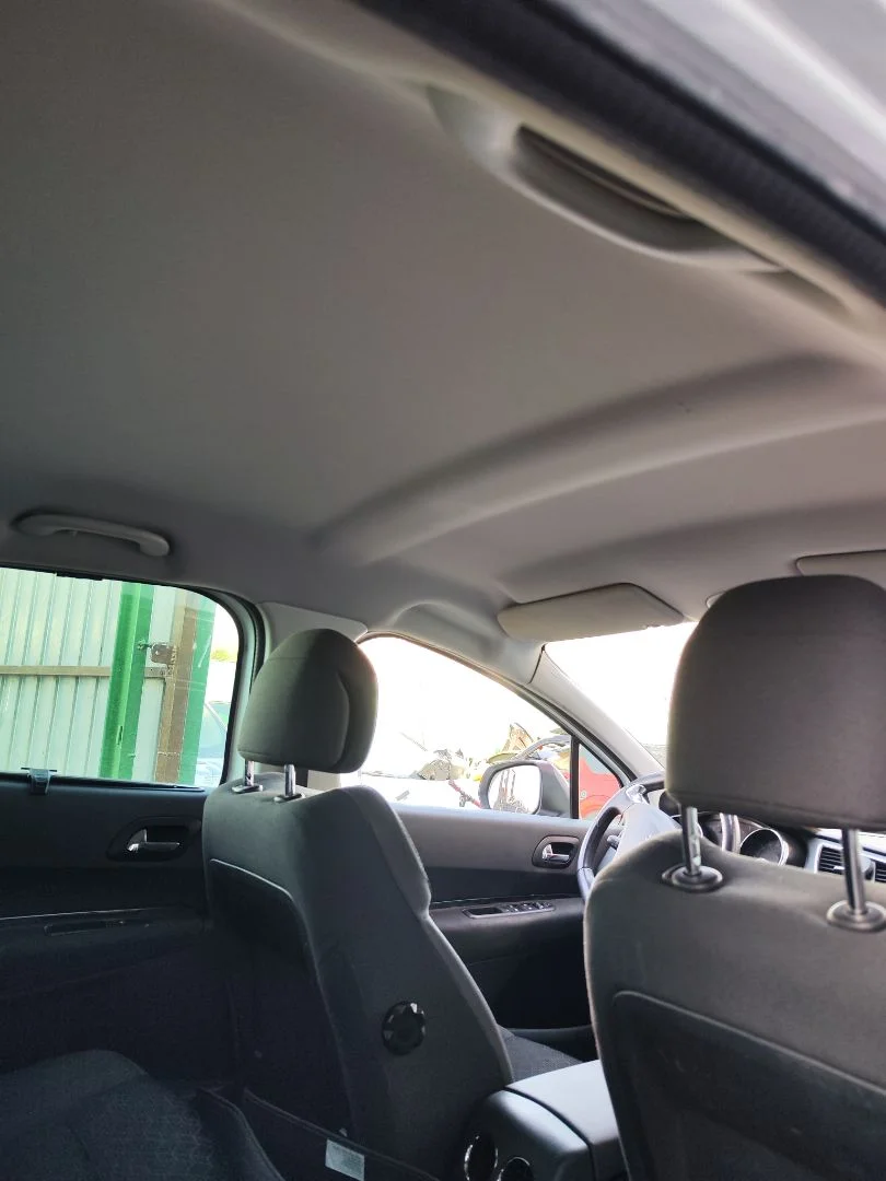 Foto de TECHO INTERIOR PEUGEOT 3008 1.6 Blue-HDI FAP (120 CV / 88 KW)
