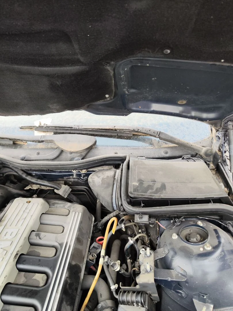 Foto de MOTOR LIMPIA DELANTERO BMW SERIE 5 BERLINA (E39) 3.0 24V Turbodiesel CAT (193 CV / 142 KW)